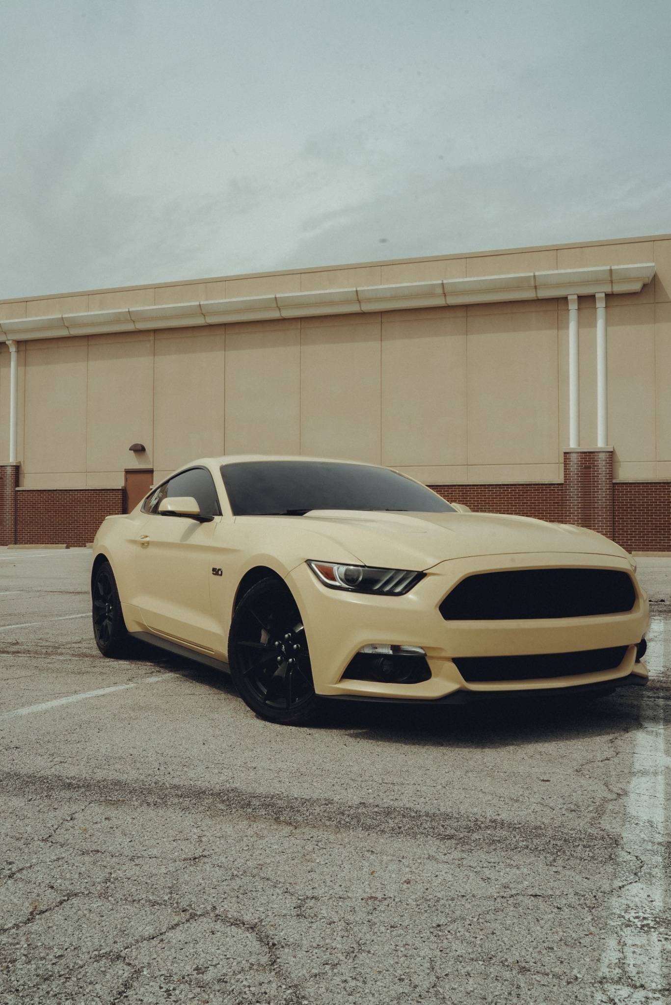 yellow_converted